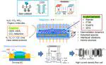 Spin Catalysis