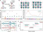 Coordination Engineering Modulates Spin-Polarization in Ruthenium Oxide to Enhance Acidic Oxygen Evolution Reaction
